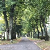 Spazierengehen im eigenen Park