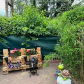 Berlin Wohngemeinschaft Garten